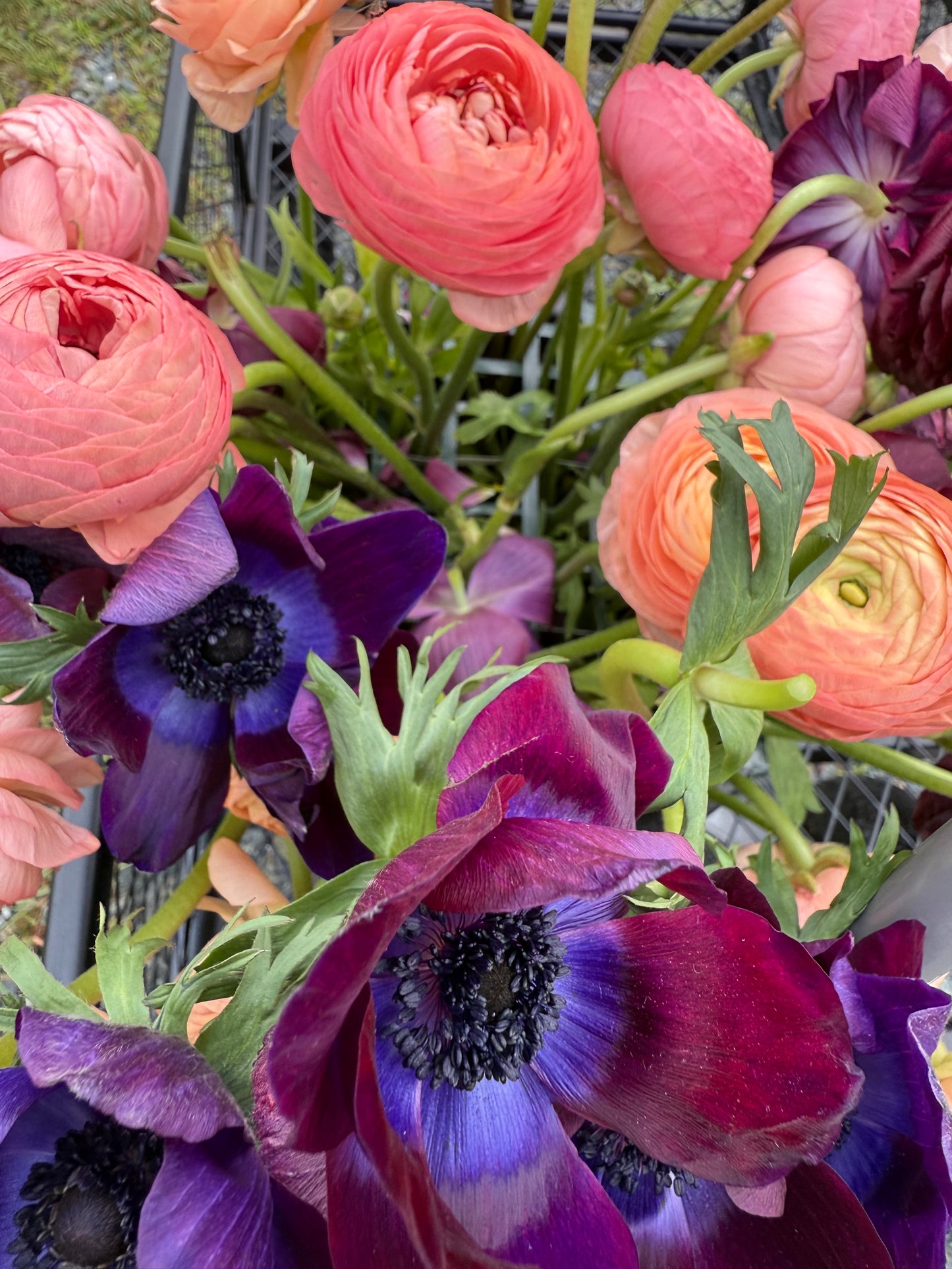 Designer’s Choice Florals