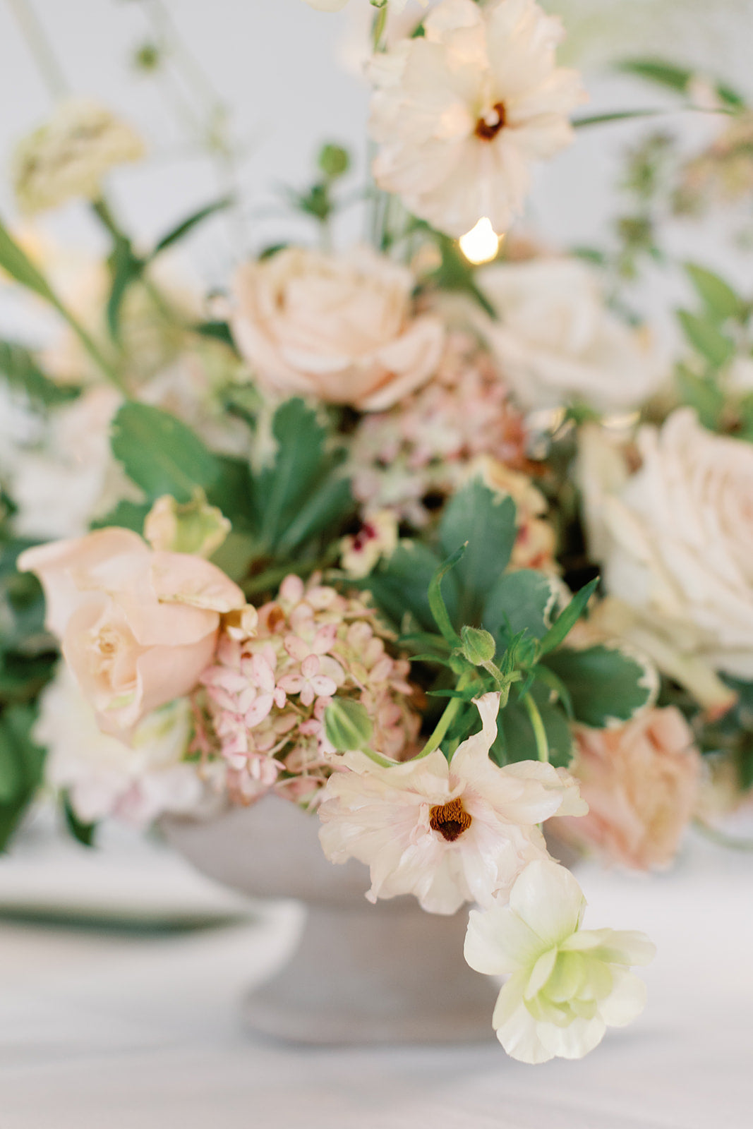 The Floral Edit: Valentine's Edition